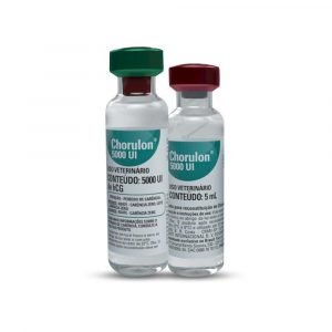 HCG CHORULON 5.000 UI ( ACOMPANHA ÁGUA)